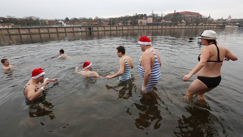 V Roudnici se otužilci na Štědrý den vykoupali v Labi.