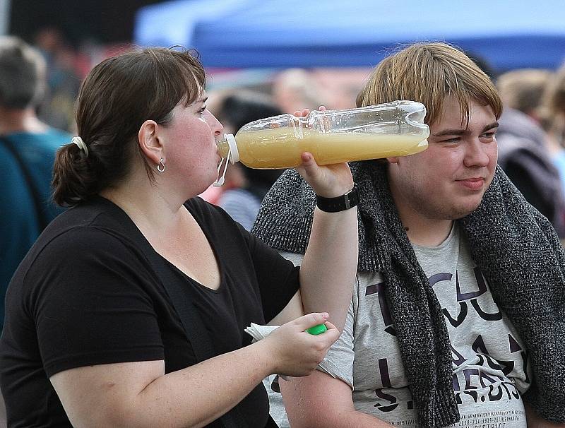 Vinobraní Litoměřice 2014 - sobota