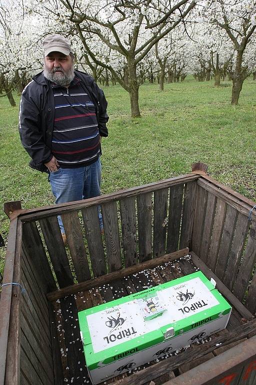 František Kratochvíl ukazuje „domov“ čmeláků