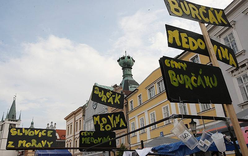 Vinobraní Litoměřice 2014 - sobota