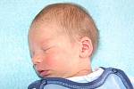 Marcele a Pavlovi Piegelbauerovým z Lovosic se 21.7. v 2.08 hodin narodil v Litoměřicích syn Matyas Piegelbauer (45 cm, 2,5 kg).