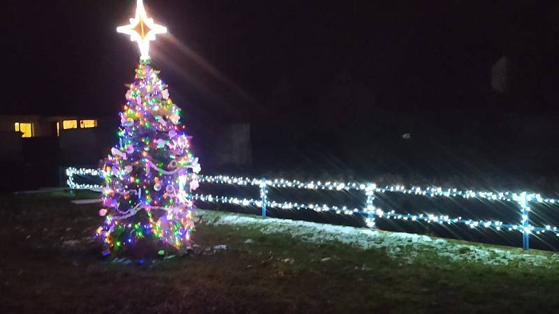 Vánoční strom v Rochově