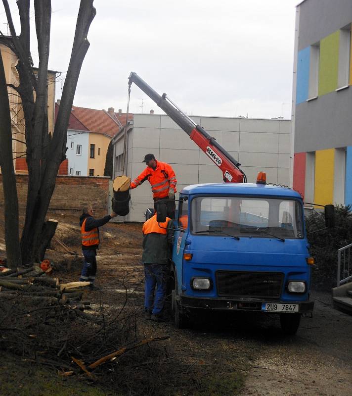 Kácení stromů u školky v Litoměřicích na konci ledna 2019