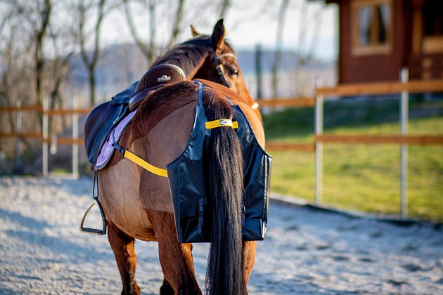 Chovatelka Tereza Henzlová vymyslela „hnůj bag“