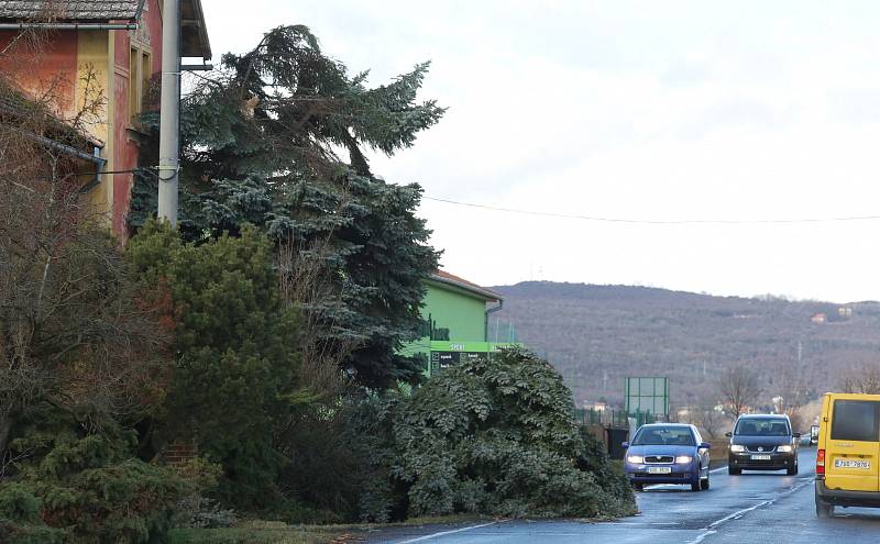 Vichřice ulomila v Terezíně špičku smrku, který spadl na silnici.