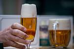 Zvyšovat ceny budou i další pivovary, například Holba, Litovel a Zubr.