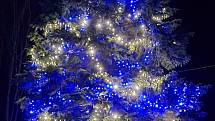 Vánoční strom ve Skalici