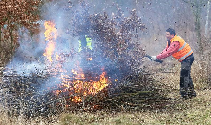 Další z mnoha brigád dobrovolníků a přátel železnice ze Zubrnic proběhla v neděli. Dobrovolníci čistili železniční svršek od náletových dřevin v okolí Levína a Zubrnic.