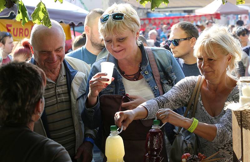 Vinobraní ve Velkých Žernosekách 2017.