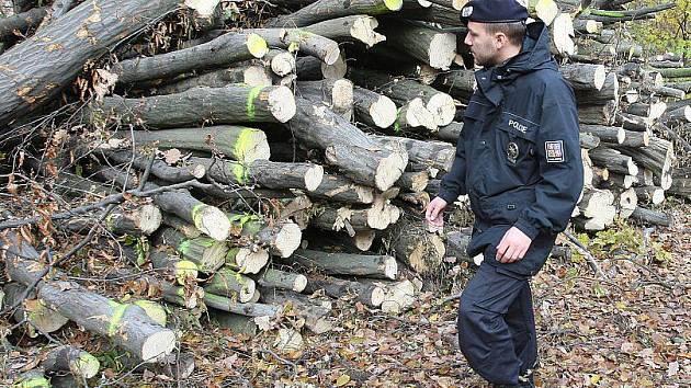 Lovosická policie pomáhá každým rokem při kontrole lesů pod Košťálovem. Téměř vždy zde policisté, ale i revírníci zaznamenají krádeže dřeva.