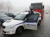 Městská policie Litoměřice, ilustrační foto.