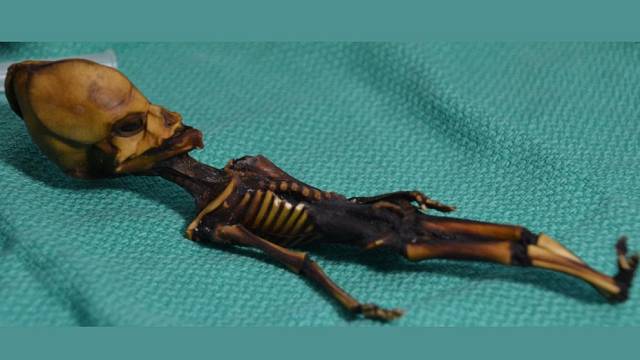 Mumie nalezená v Chile vykazovala celou řadu genetických deformací.