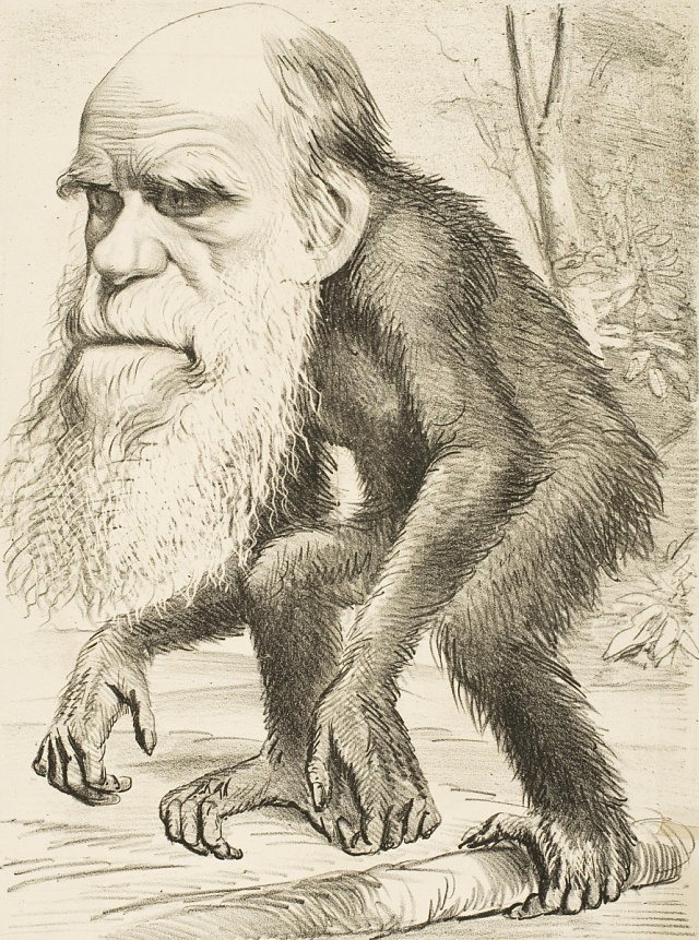 Karikatura z roku 1871, která následovala po vydání knihy The Descent of Man, byla typickou z mnoha karikatur zobrazujících Darwina s opičím tělem a identifikovala ho v populární kultuře jako hlavního autora evoluční teorie.