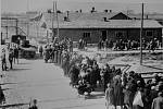 Dobový snímek z koncentračního tábora Osvětim