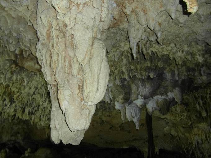 Sladkovodní cenoty jsou často propojeny s krápníkovými jeskyněmi.