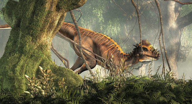 Pachycefalosaurus byl pravděpodobně střední výšky, měřil „jen“ asi 5 až 7 metrů na délku.