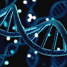 Co DNA vypovídá o našem původu?