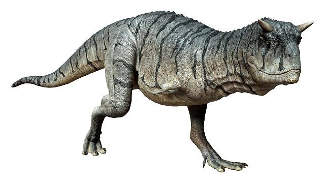 Nový druh abelisauridního dinosaura byl objeven v Egyptě.