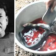 Pol Pot miloval maso kobry.