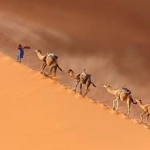 Dnes je Sahara třetí největší pouští světa. Změní se to?