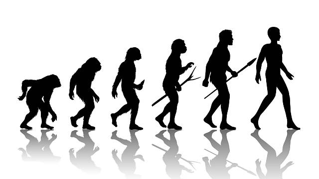 Neandertálci a Homo Sapiens