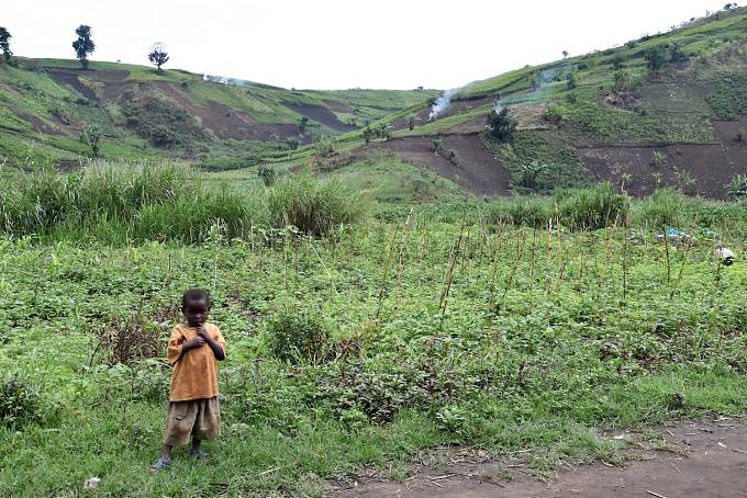 Mnoho dětí v Kongu trpí podvýživou, což má velký dopad na jejich fyzický I psychický vývoj. Pokud tělo nemá správné živiny v prvních 1000 dnech života, jsou poškození mozku nevratná.