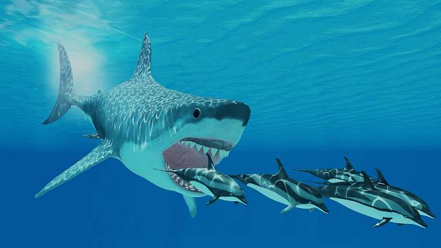 Megalodon byl masožravým žralokem