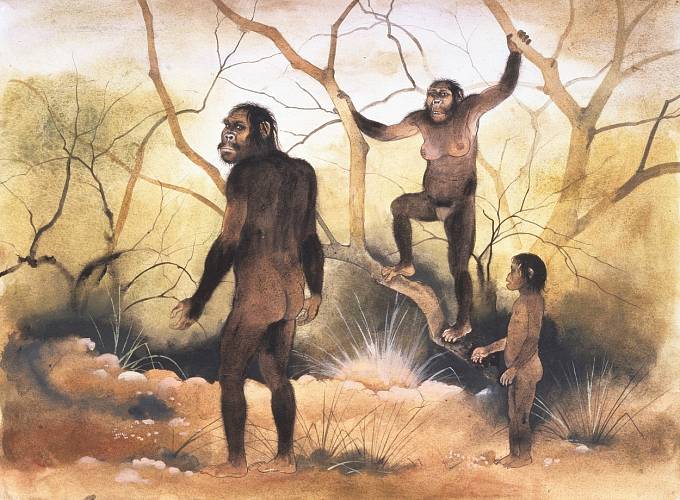 Zástupci Australopithecus afarensis chodili vzpřímeně, ale ještě uměli šplhat po stromech.