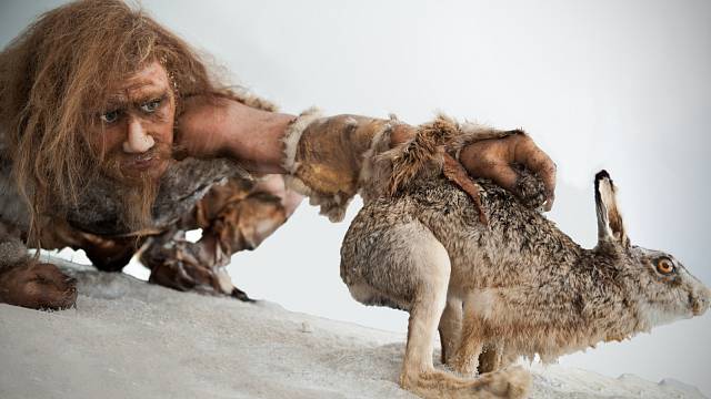 Co stálo za vymřením neandertálců? Byli jsme to my, Homo sapiens?