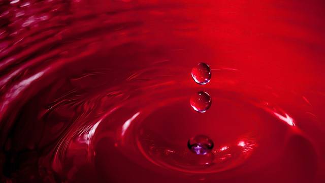 Vědci rozluštili záhadu krvavé vody.
