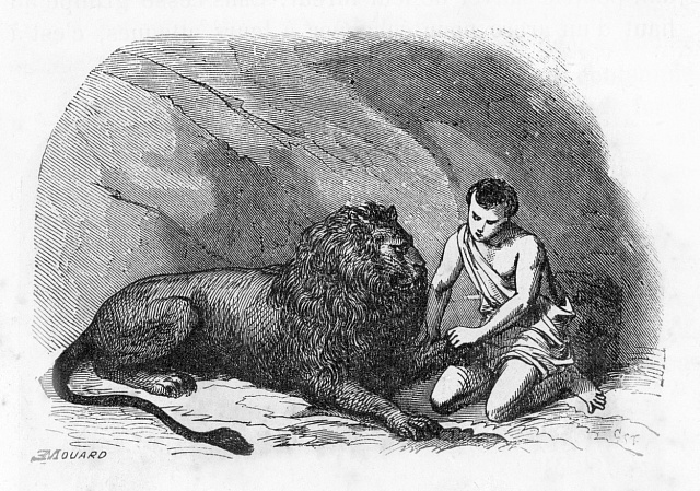 Androkles a lev - kresba z 19. století