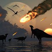 Dinosaury pravděpodobně vyhubil pád asteroidu.