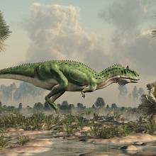 Majungasaurus byl masožravý teropodní dinosaurus, který žil v období křídy na Madagaskaru.