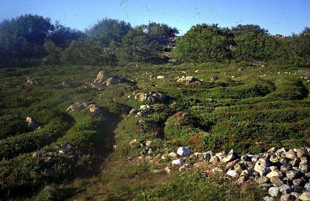Kamenný labyrint na ostrově Zayatsky, Solovecké souostroví, Rusko