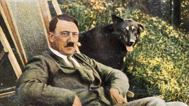 Hitler obdivoval psy podobné vlkům.