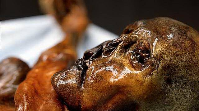 Ötzi byl v době smrti asi 45 let starý, měřil přibližně 165 cm a vážil 59 kg.