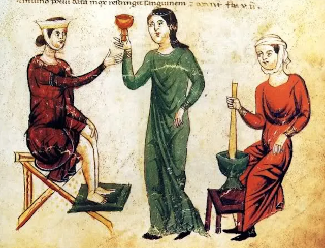 Ostružinový lektvar proti menstruačním bolestem. Miniatura z Codex Vindobonensis 93. Edice herbáře Pseudo-Apuleia, iluminovaného v jižní Itálii v první polovině 13. století.