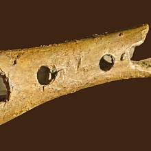 Neandertálská flétna nalezená ve Slovinsku