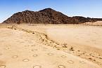 Vílí kruhy v namibijské poušti