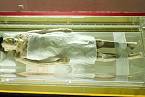 Mumie skrývala i zbytky krve v žilách.
