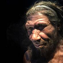 Rekonstrukce tváře neandrtálce v londýnském Natural History Museum