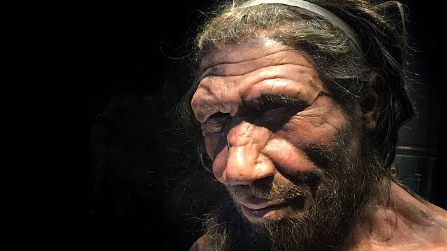 Rekonstrukce tváře neandrtálce v londýnském Natural History Museum