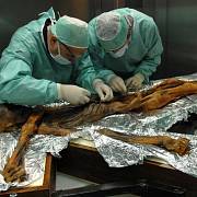 Výzkum mumie Ötziho