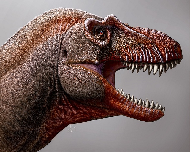 Vědci zjistili, že Thanatotheristes měl více zubů než většina ostatních tyranosauridů.