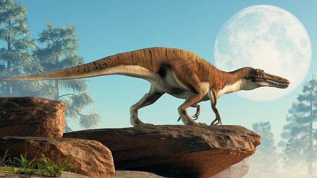 Některé druhy dinosaurů si dokázali podat menší předmět přední „tlapou“ do své tlamy, sevřít objekt „rukama“ nebo jej přitisknout a přidržovat u svého hrudníku.