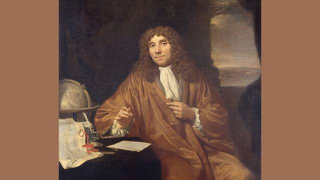 Antonie van Leeuwenhoek popsal mikroskopický vzhled krystalů kyseliny močové v roce 1679