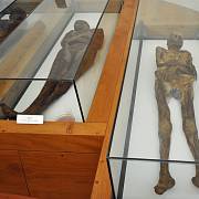 Mumie z Venzone