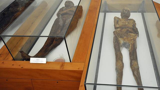 Mumie z Venzone
