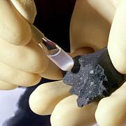 Murchisonský meteorit