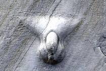 Symbol penisu se ve starověku často objevoval na zdech domů